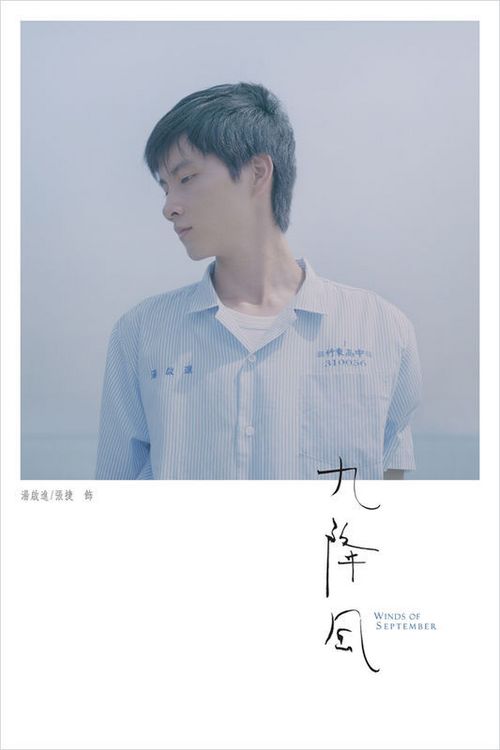 东南理工大学商业管理文凭证书